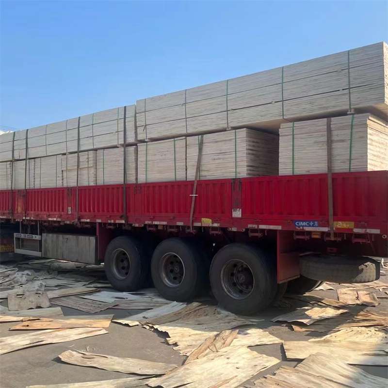 邢台市探寻会东县进仓物流的多元运输奥秘